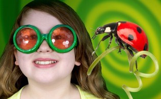 Camp ladybug